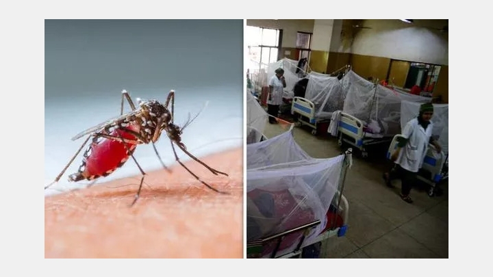 Singapore may hit the record with Dengue Cases; two diseases at the same time