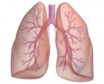 Pasaules Spirometrijas dienā aicina rūpēties par plaušu veselību